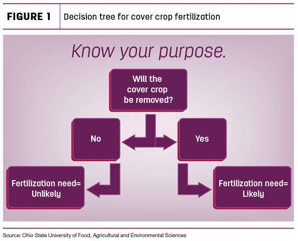 Decision tree for cover crop fertilization