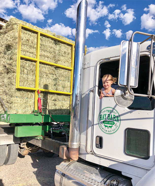 LeSueur semi