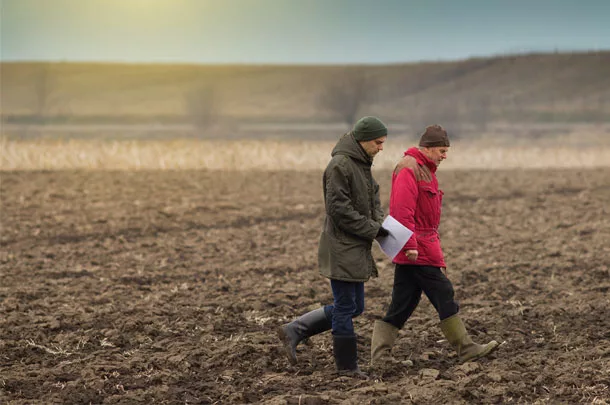 Evaluating the land