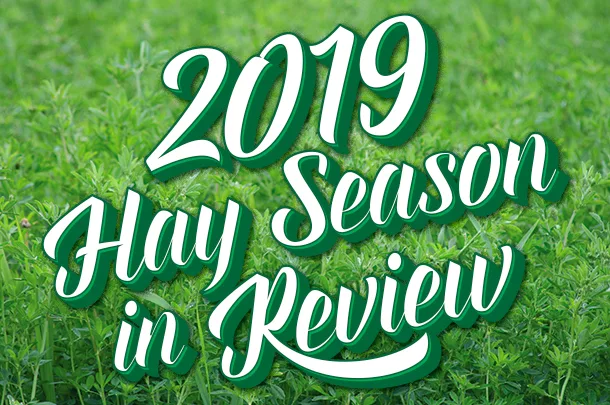 hay review