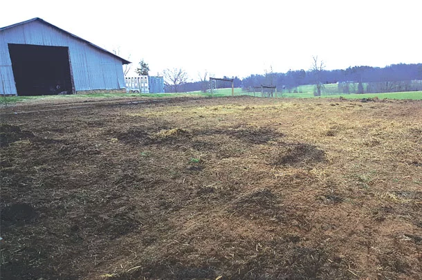 Winter feeding area