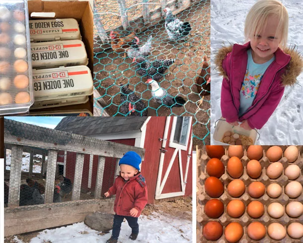 010620-kids-and-eggs.jpg kids and eggs