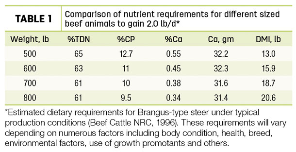 Comparison of nutrient requirements for different sized beef animals