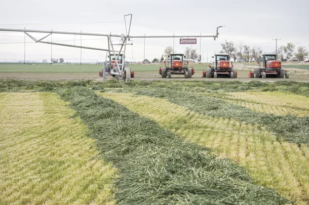 Harvest