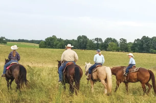 Riding the pasture