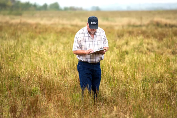 man in pasture