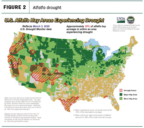alfalfa drought