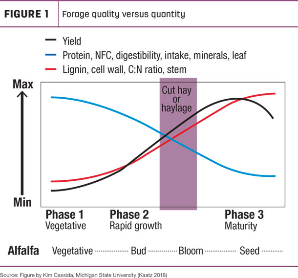 forage quality versus quality