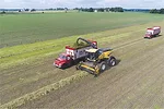 Harvesting
