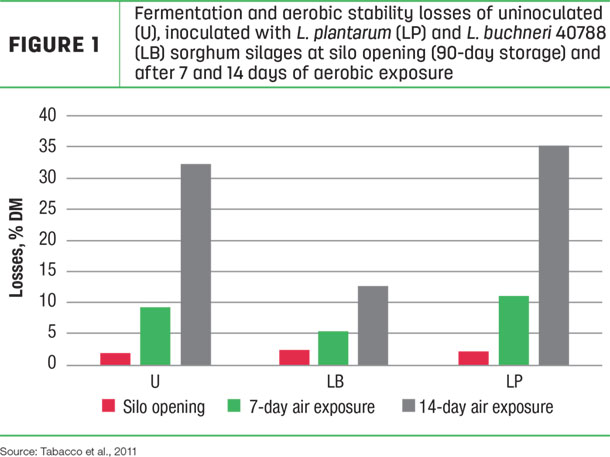 Fermentation and aerobic stability losses of unioculated, inoculated