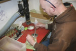 Lab technician prepares a hay sample
