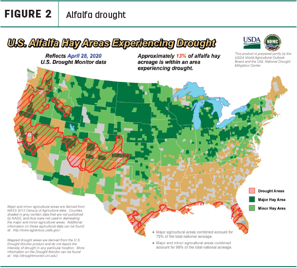 050520 natzke alfalfa drought
