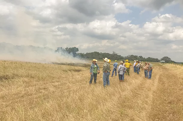 Controlled burn