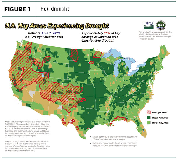 hay drought