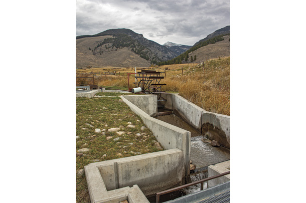 Fish screens and herbicides that aren't toxic