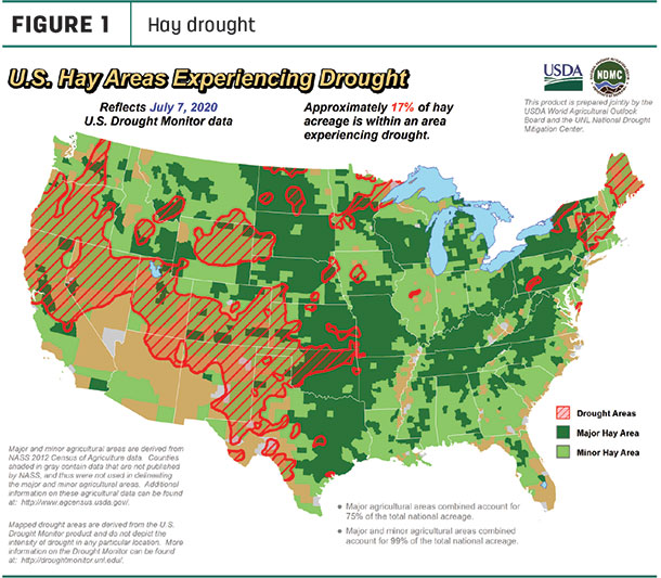 hay drought areas