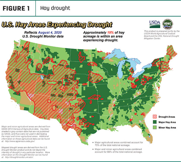 hay drought