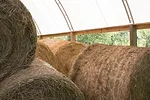 Round bales