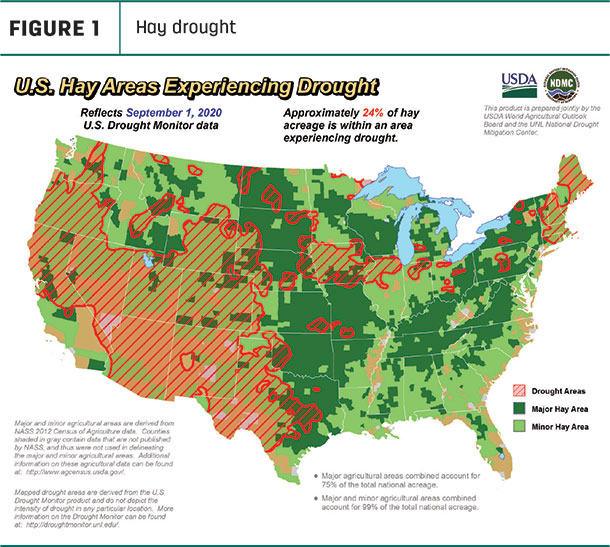 hay drought areas