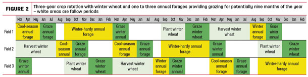 Three-year crop rotation with winter wheat and one to three annual forages providing grazing for potentially nine months of the year