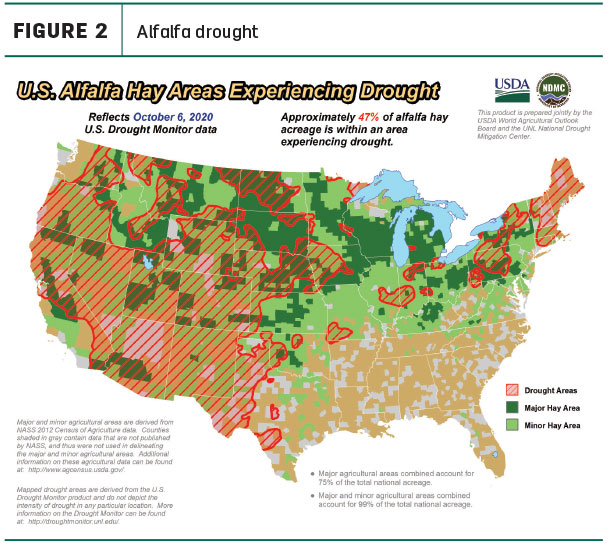 alfalfa drought