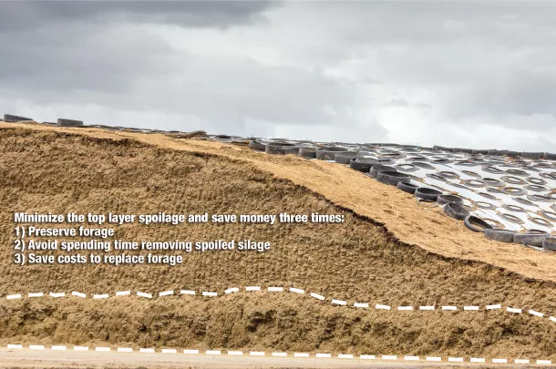 Silage spoilage