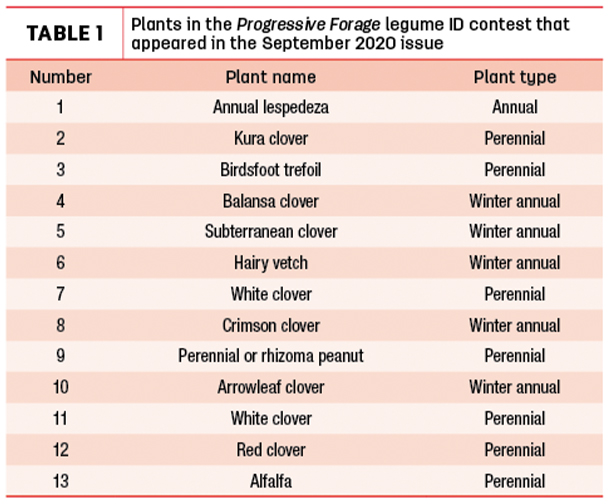 Plants in the Progressive Forage legum ID contest