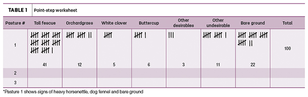 Point-step worksheet