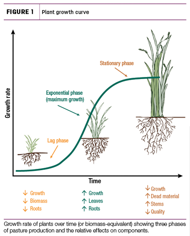 Plant growth curve