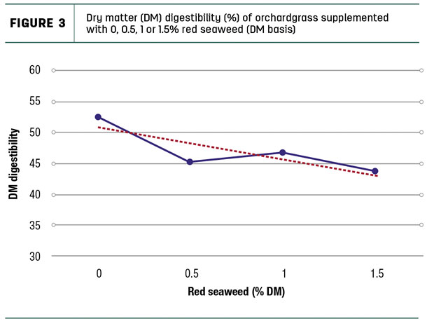 Dry matter (DM) digestibility