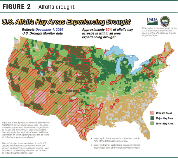 alfalfa drought areas