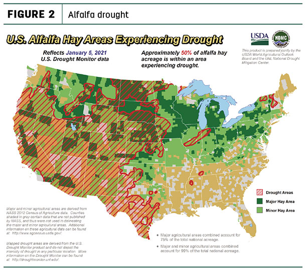 alfalfa drought areas
