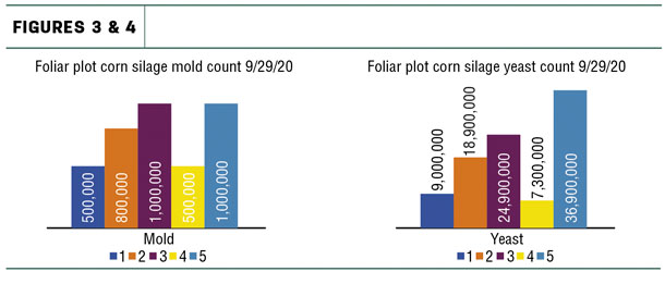 Faliar plot corn silage mold count