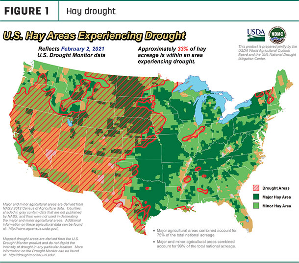 hay drought