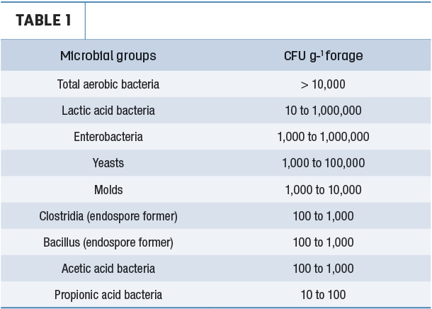 Naturally occurring microbes in standing crop plants