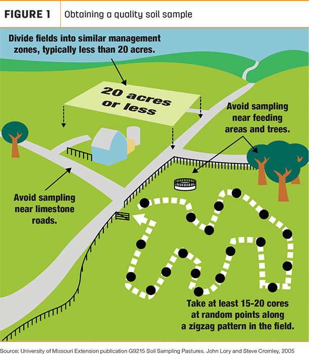 Obtaining a quality soil sample