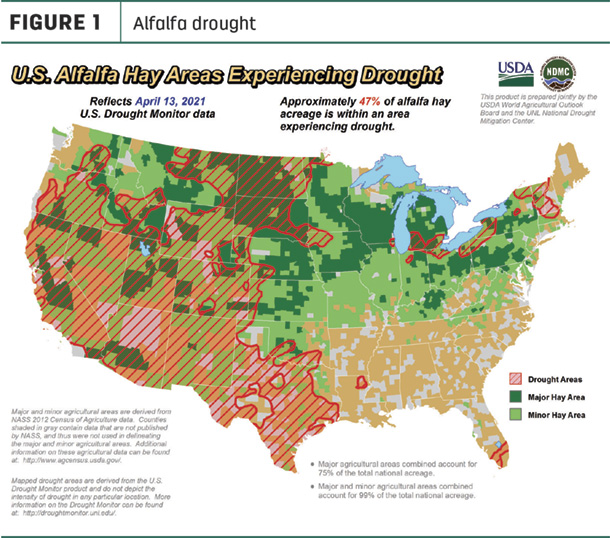  alfalfa drought fig1