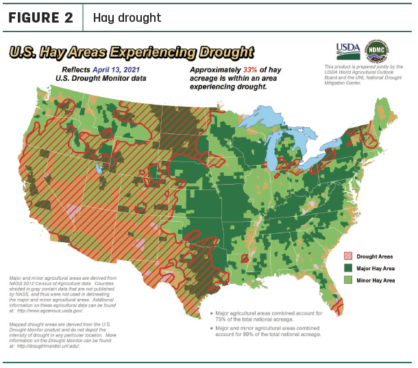  hay drought