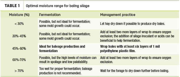 Optimal moisture range for baling silage