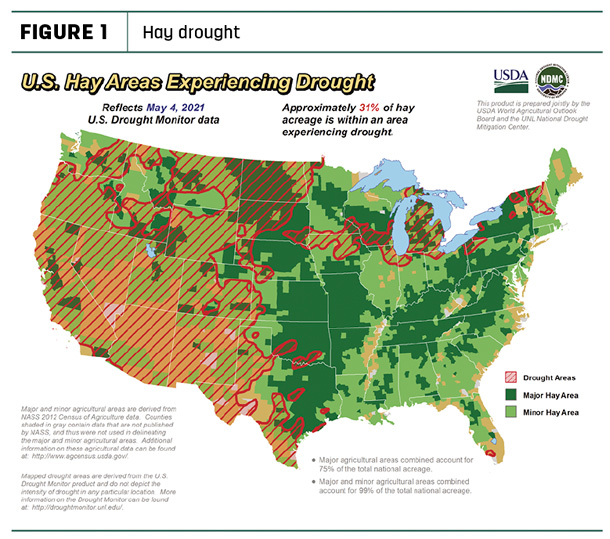 hay drought