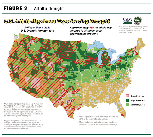 alfalfa drought