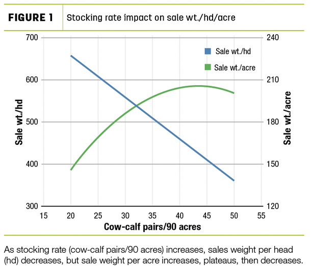 Stocking rate impact on sale wt./hd/acre