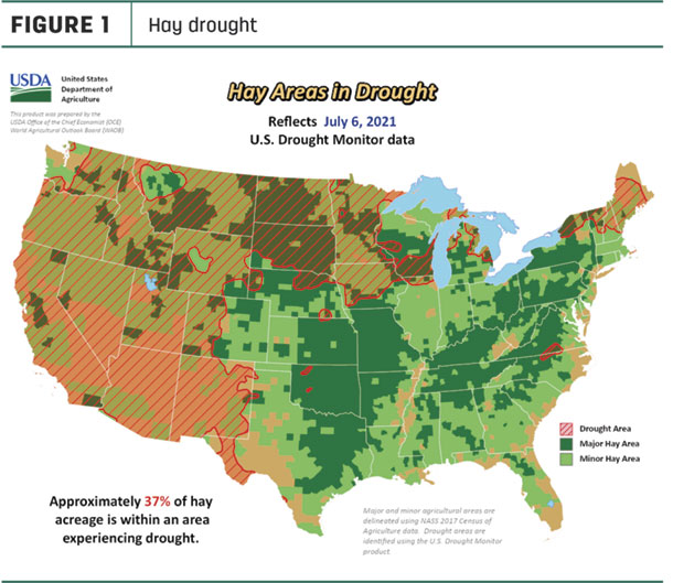 070821 natzke hay drought