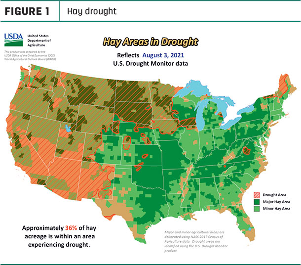 hay drought