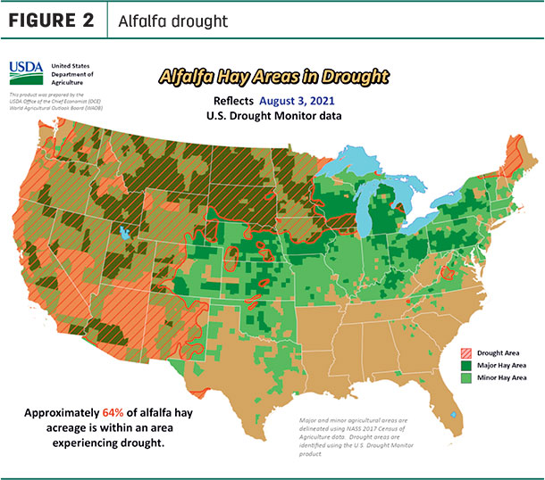 alfalfa drought