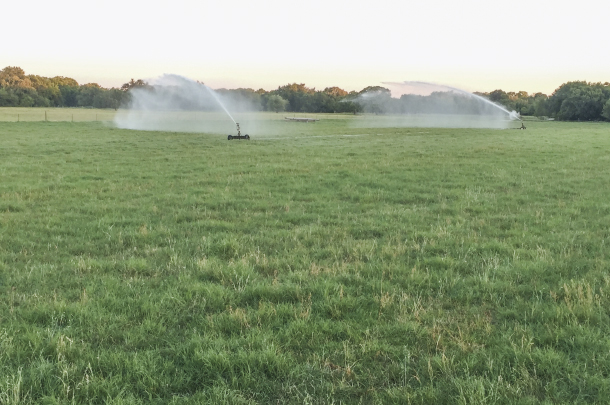 Irrigating 
