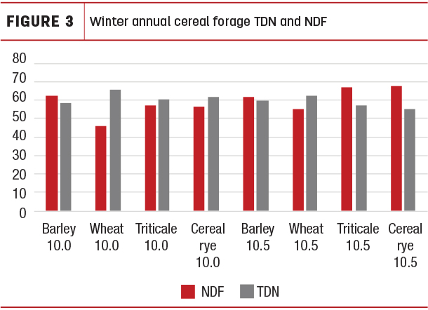 Winter annual cereal forage TDN and NDF
