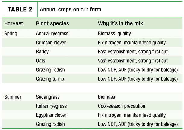 Annual crops on our farm
