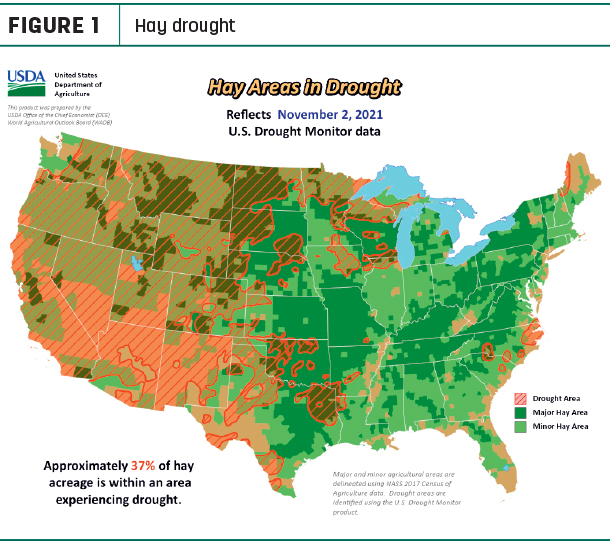 hay drought