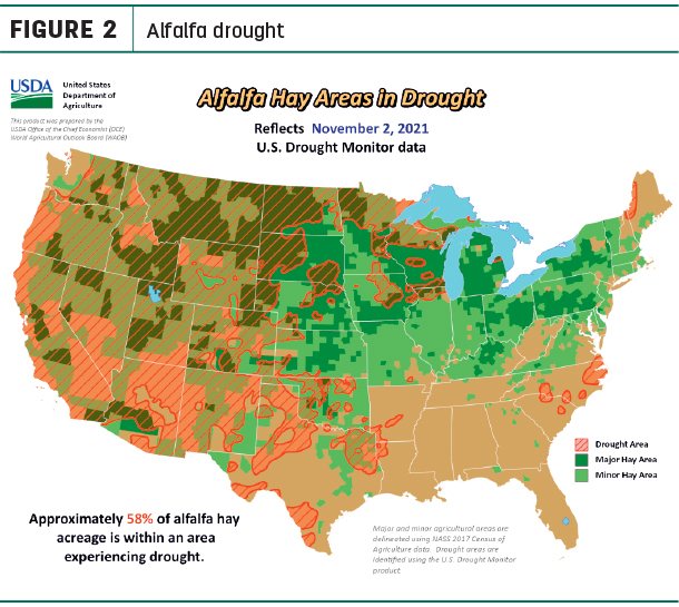 alfalfa drought